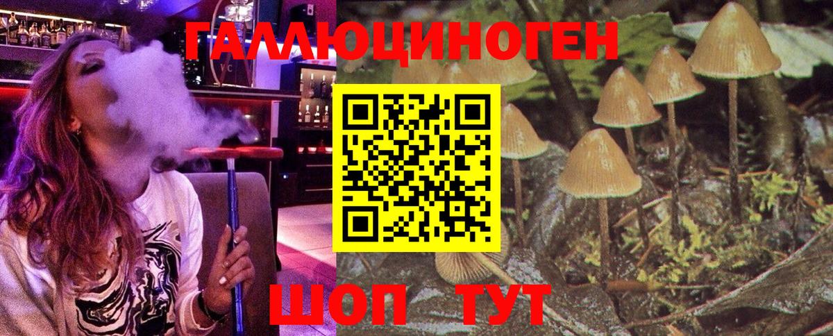 Галлюциногенные грибы GOLDEN TEACHER  Вход с VPN  где купить наркоту  Боровичи 